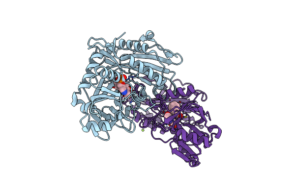 7NTR image