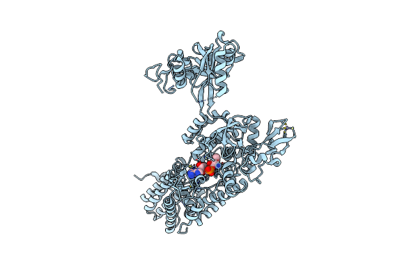 7NTZ image