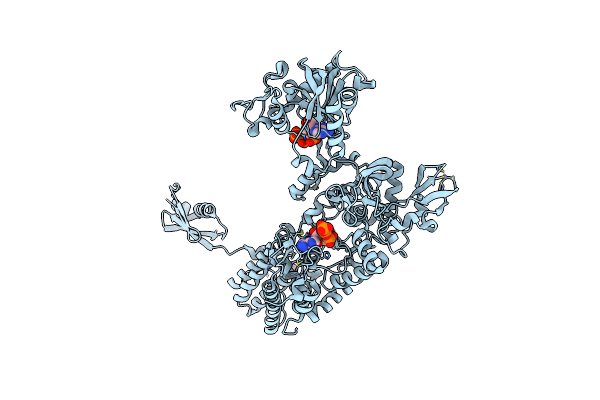 7NU7 image