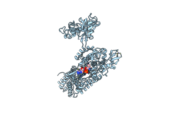 7NUB image