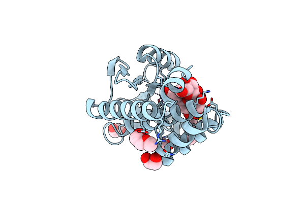 7NUH image