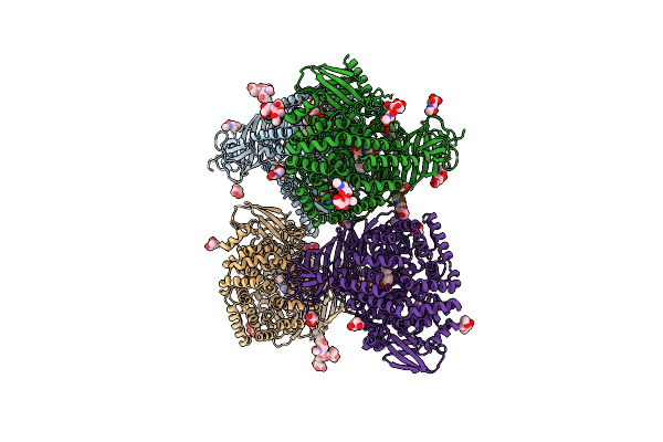 7NUP image