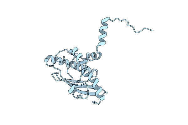 7NVK image