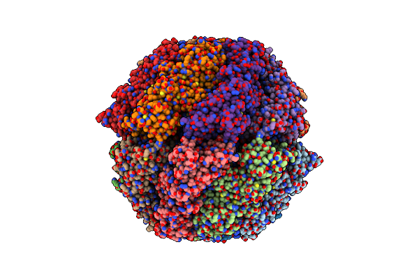 7NVL image