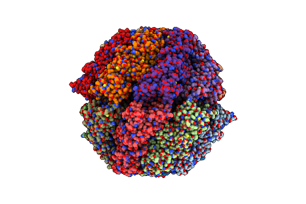 7NVN image
