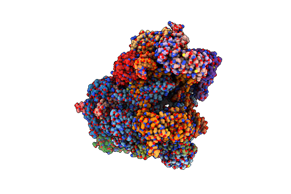 7NVT image