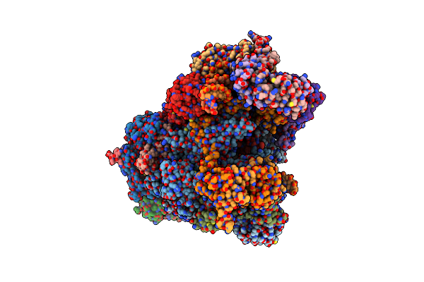 7NVU image