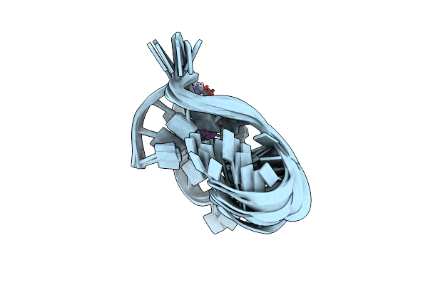 7NWD image