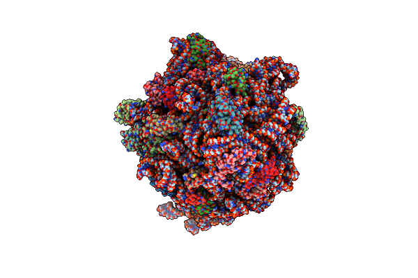 7NWT image