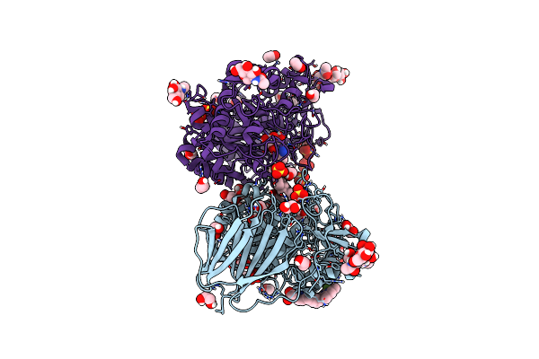 7NWV image