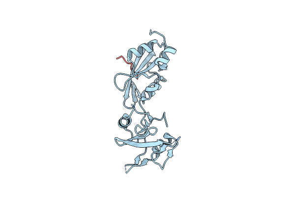 7NXE image