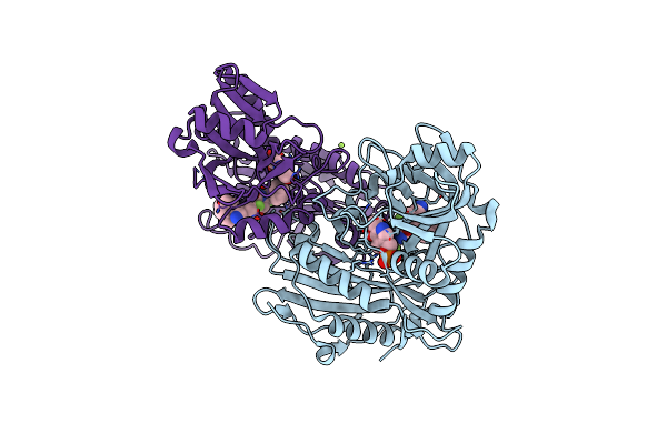 7NXN image