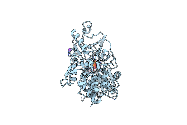 7NXU image