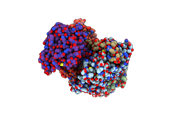 7NXV image