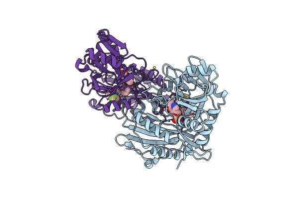 7NY2 image
