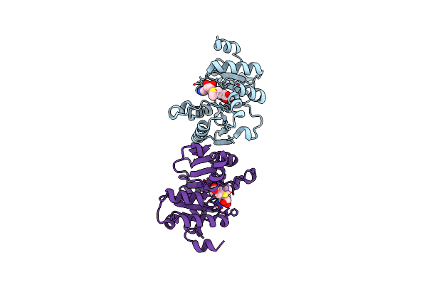 7NYB image