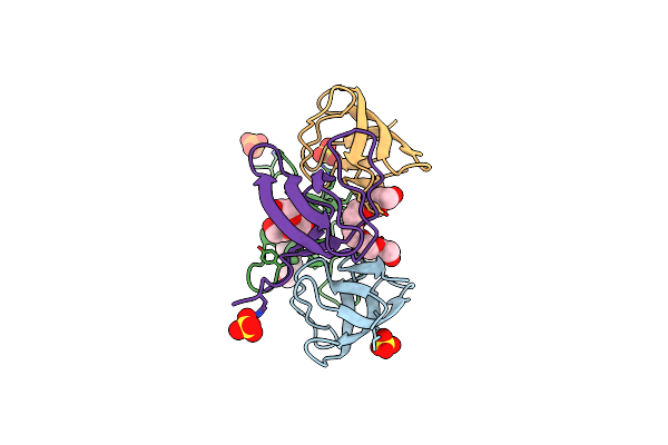 7NYM image