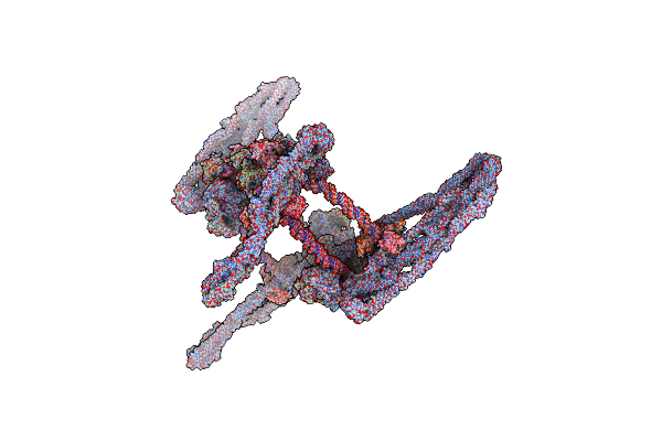 7NZ2 image
