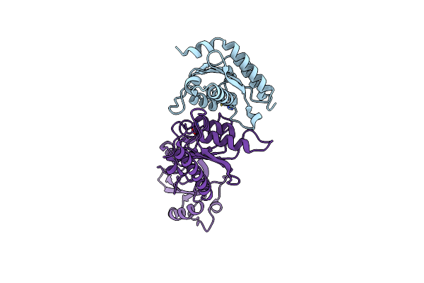 7NZ7 image