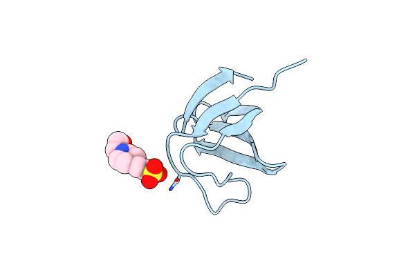7NZC image