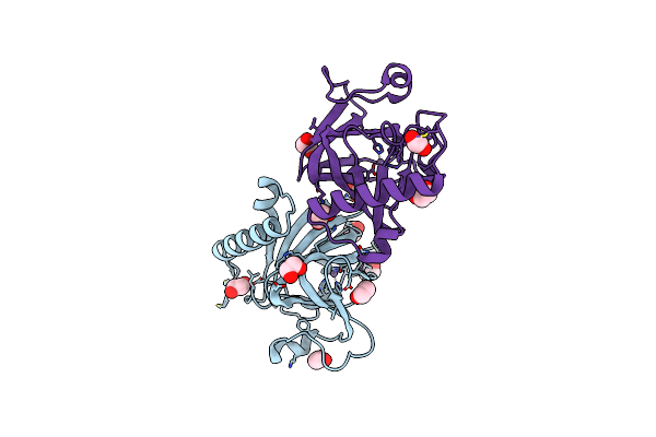 7NZO image