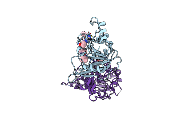 7O08 image
