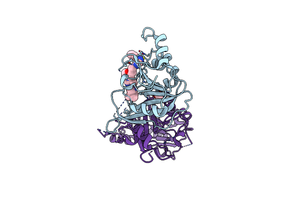 7O09 image