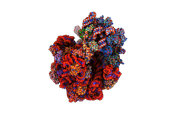 7O1A image