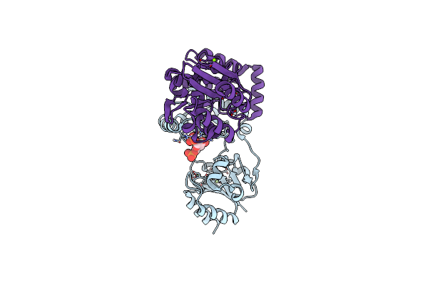 7O1B image