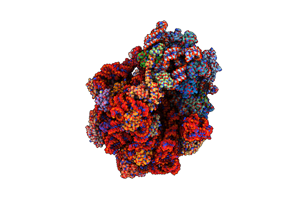 7O1C image