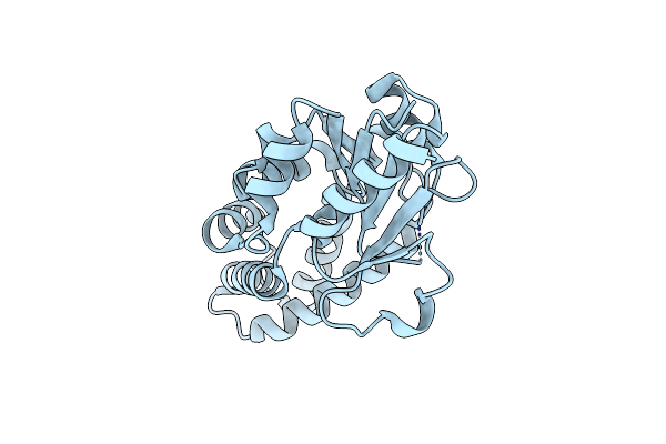 7O1D image