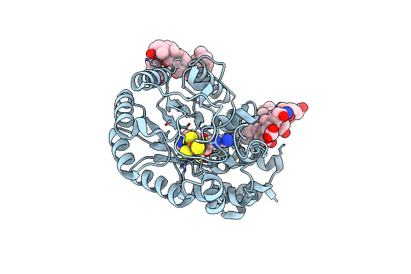 7O1P image