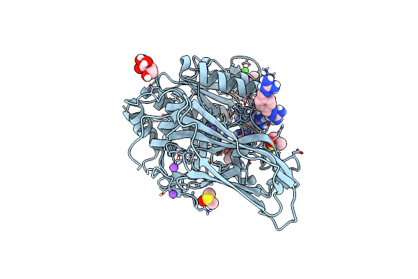 7O1W image