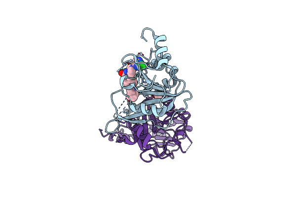 7O28 image