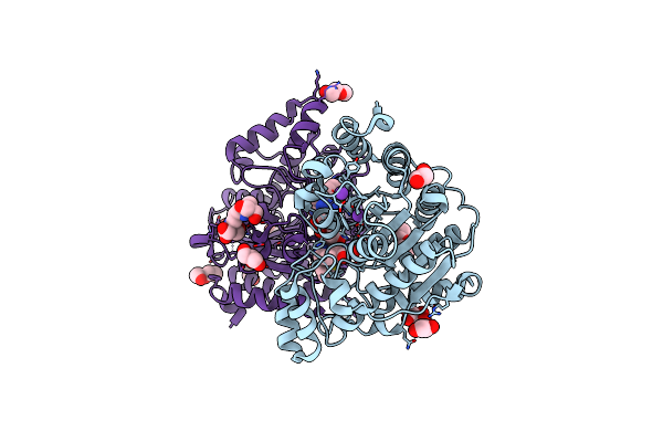 7O2P image