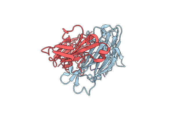 7O33 image