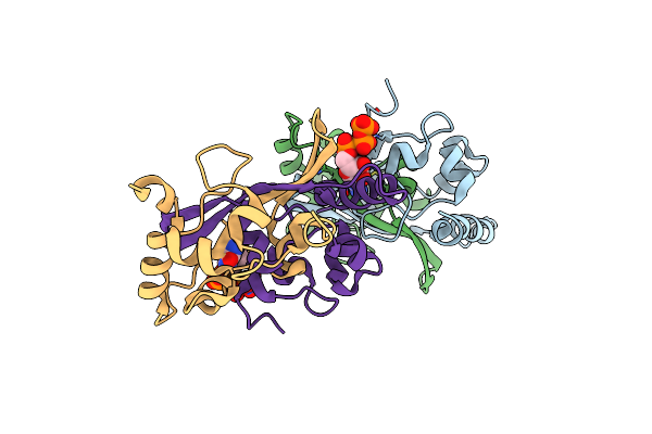 7O36 image