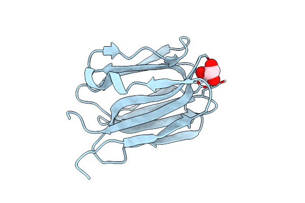 7O3I image