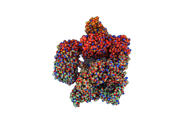 7O42 image