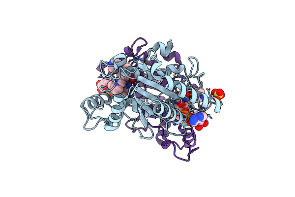 7O4D image