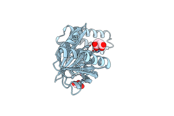 7O4M image