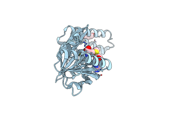 7O4N image