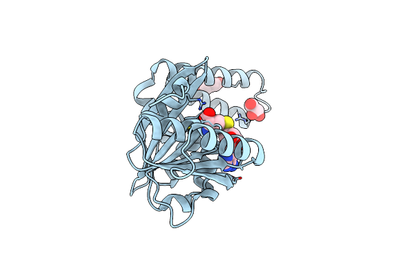 7O4O image