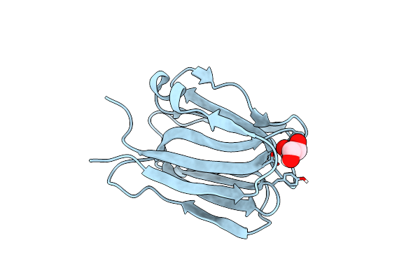 7O4P image