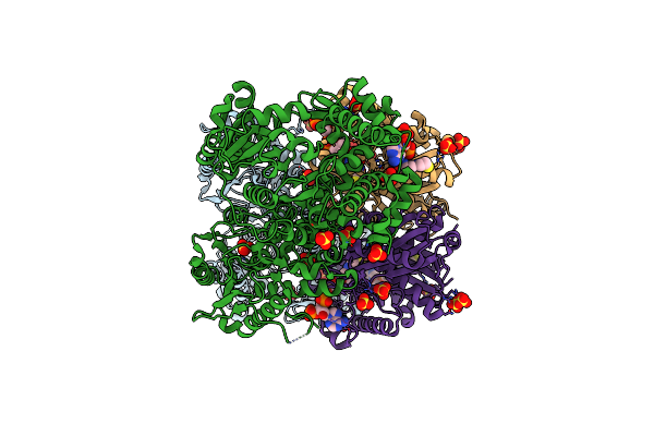 7O4R image