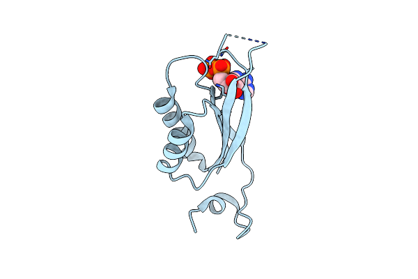 7O4X image
