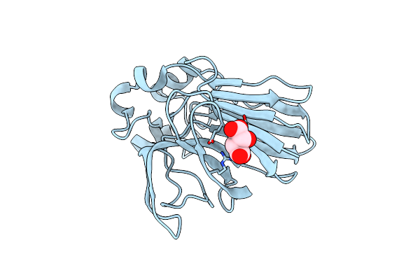 7O51 image