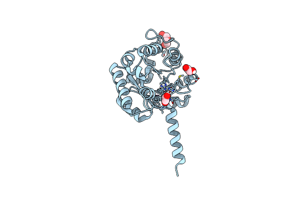 7O5I image
