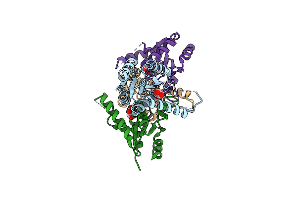 7O62 image