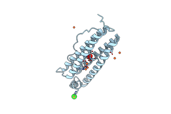 7O67 image